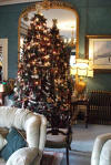 Lounge Tree