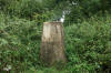 Hanging Hill