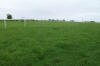 Bath Race Course