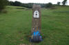 Milestone