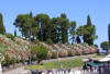 Peschiera 3