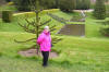 Ightham Mote