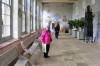 Knole House