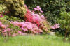 Scotney Castle
