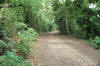 Thames Path