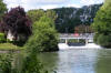 Thames River Path 6