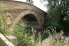 Tadpole Bridge